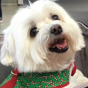 Meet your Posher, Tina